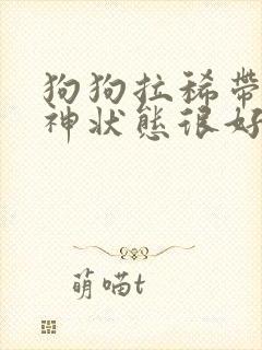 狗狗拉稀带血精神状态很好