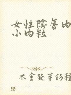 女性阴唇内侧长小肉粒封面