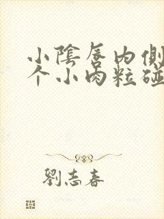 小阴唇内侧长了个小肉粒碰到会痛封面