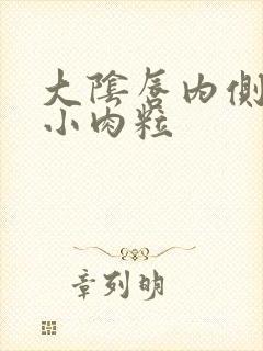 大阴唇内侧长了小肉粒