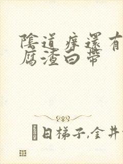 阴道痒还有给豆腐渣白带