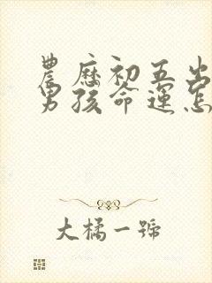 农历初五出生的男孩命运怎么样