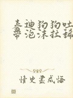 泰迪狗狗吐黄水带泡沫拉稀