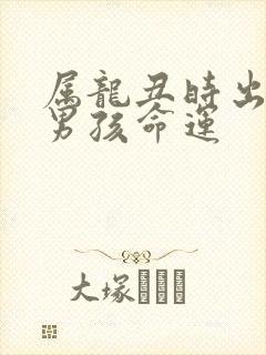 属龙丑时出生的男孩命运