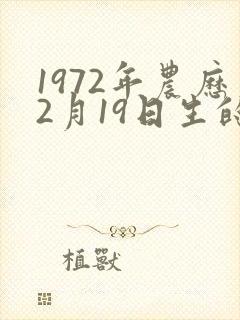 1972年农历2月19日生的命运