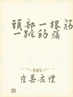 头部一根筋一跳一跳的痛封面