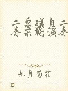 二泉映月二胡独奏宋飞演奏封面