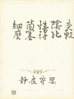 细菌性阴炎用什么塞得比较好