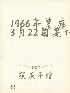 1966年农历3月22日是什么命