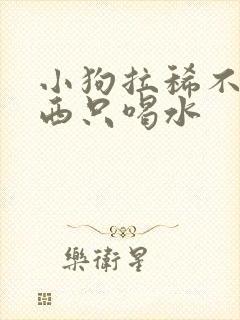 小狗拉稀不吃东西只喝水