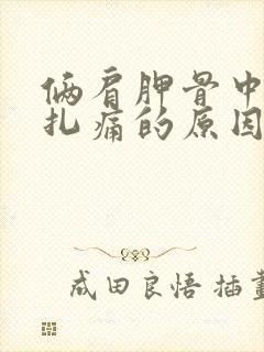 俩肩胛骨中间针扎痛的原因封面