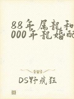 88年属龙和2000年龙婚配