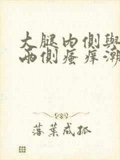 大腿内侧与阴囊两侧瘙痒潮湿瘙痒