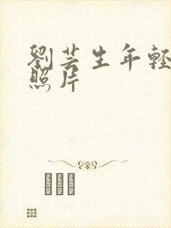 刘芸生年轻时的照片