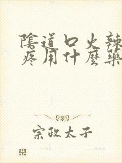 阴道口火辣辣的疼用什么药