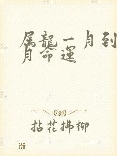 属龙一月到十二月命运封面