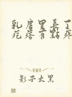 乳房里长了个硬疙瘩有点疼怎么回事