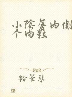 小阴唇内侧长了个肉粒