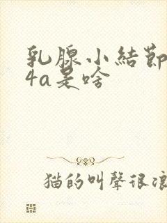 乳腺小结节b超4a是啥