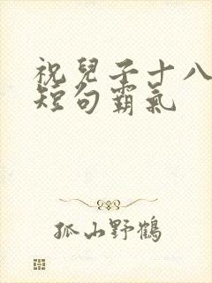 祝儿子十八生日短句霸气封面