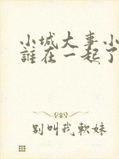 小城大事小燕和谁在一起了