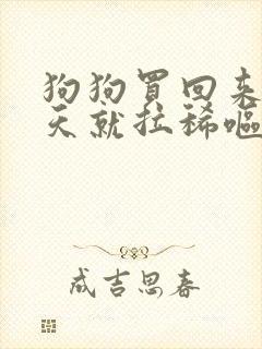 狗狗买回来第二天就拉稀呕吐怎么办