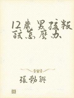 12岁男孩叛逆该怎么办封面