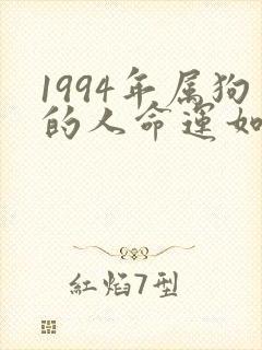 1994年属狗的人命运如何