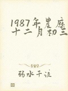 1987年农历十二月初三是什么命