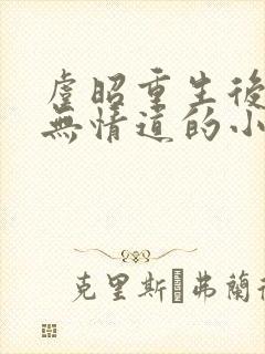 虞昭重生后改修无情道的小说名字封面