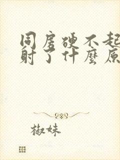 同房硬不起来就射了什么原因