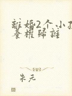 离婚2个小孩抚养权归谁