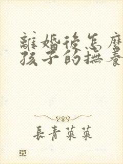 离婚后怎么争夺孩子的抚养权封面