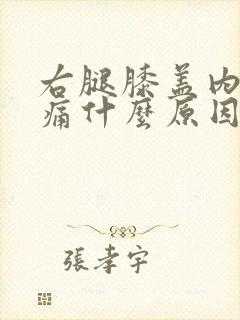 右腿膝盖内侧疼痛什么原因引起的