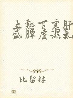 上热下寒肝火旺盛脾虚湿气重吃什么药