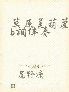 草原美葫芦丝降b调伴奏封面