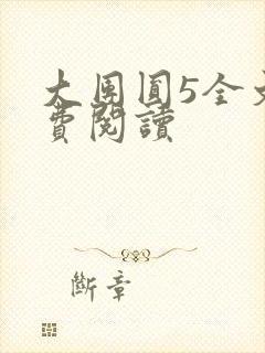 大团圆5全文免费阅读封面