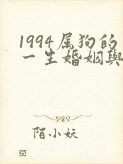 1994属狗的一生婚姻与命运封面
