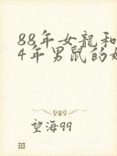 88年女龙和84年男鼠的婚姻封面