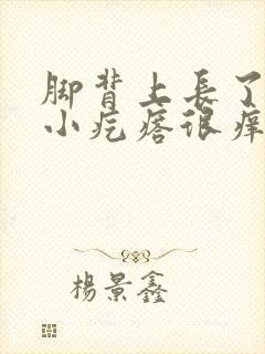 脚背上长了好多小疙瘩很痒怎么回事