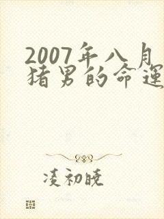 2007年八月猪男的命运怎么样