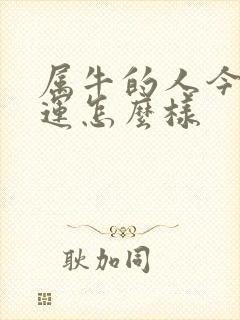 属牛的人今年财运怎么样