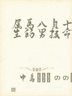 属马八月十五出生的男孩命运