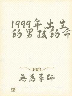 1999年出生的男孩的命运