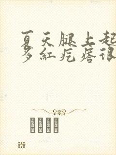 夏天腿上起了好多红疙瘩很痒