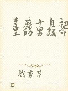 农历十月初九出生的男孩命运如何