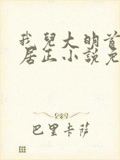 我儿大明首辅张居正小说免费阅读