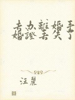 去办离婚手续结婚证丢失了怎么办封面