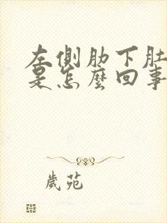 左侧肋下肚子疼是怎么回事封面