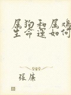 属狗和属鸡的一生命运如何